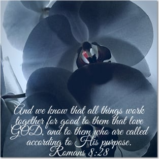 Bible Verse Romans 8:28 Posters and Art